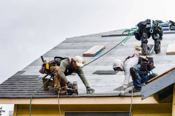 Professional Storm Damage Roof Repair technician working in Davisburg, MI